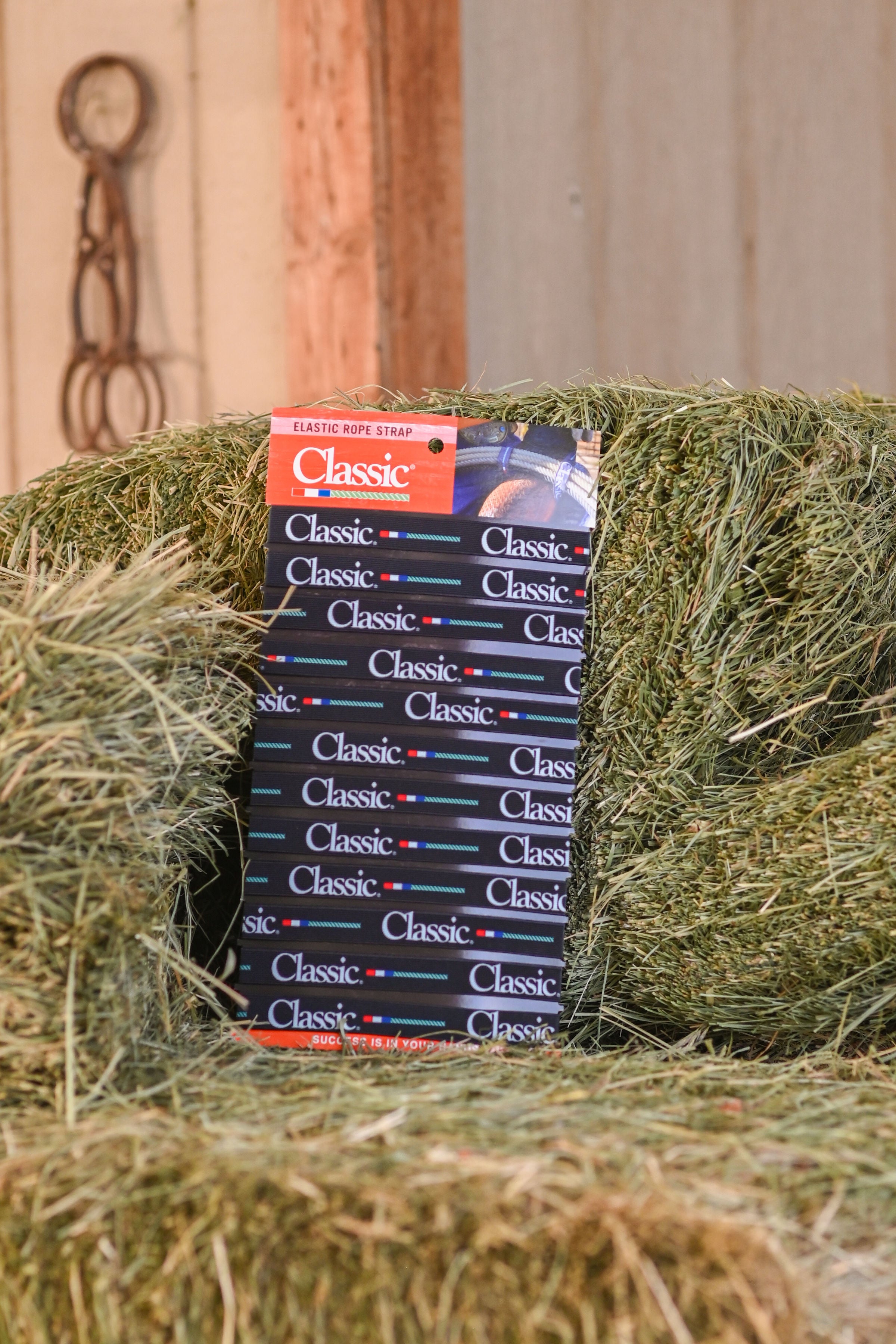 Classic Equine Elastic Rope Strap