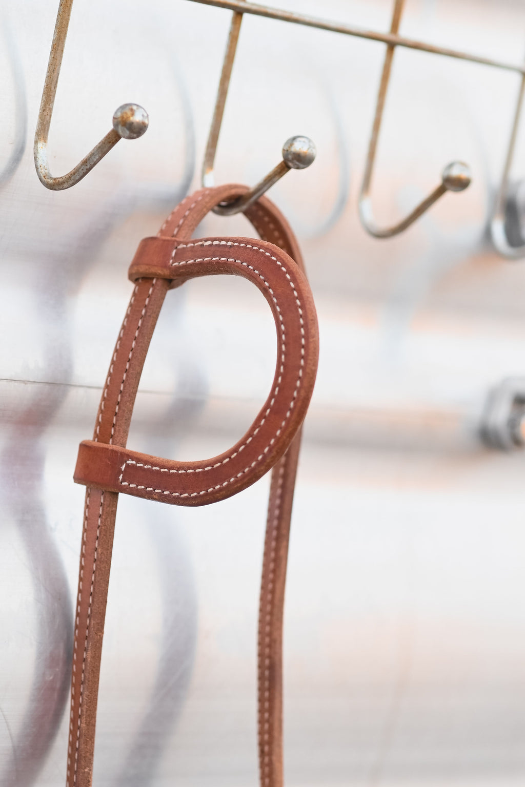 Cactus Saddlery Trevor Brazile Flat Ear Headstall