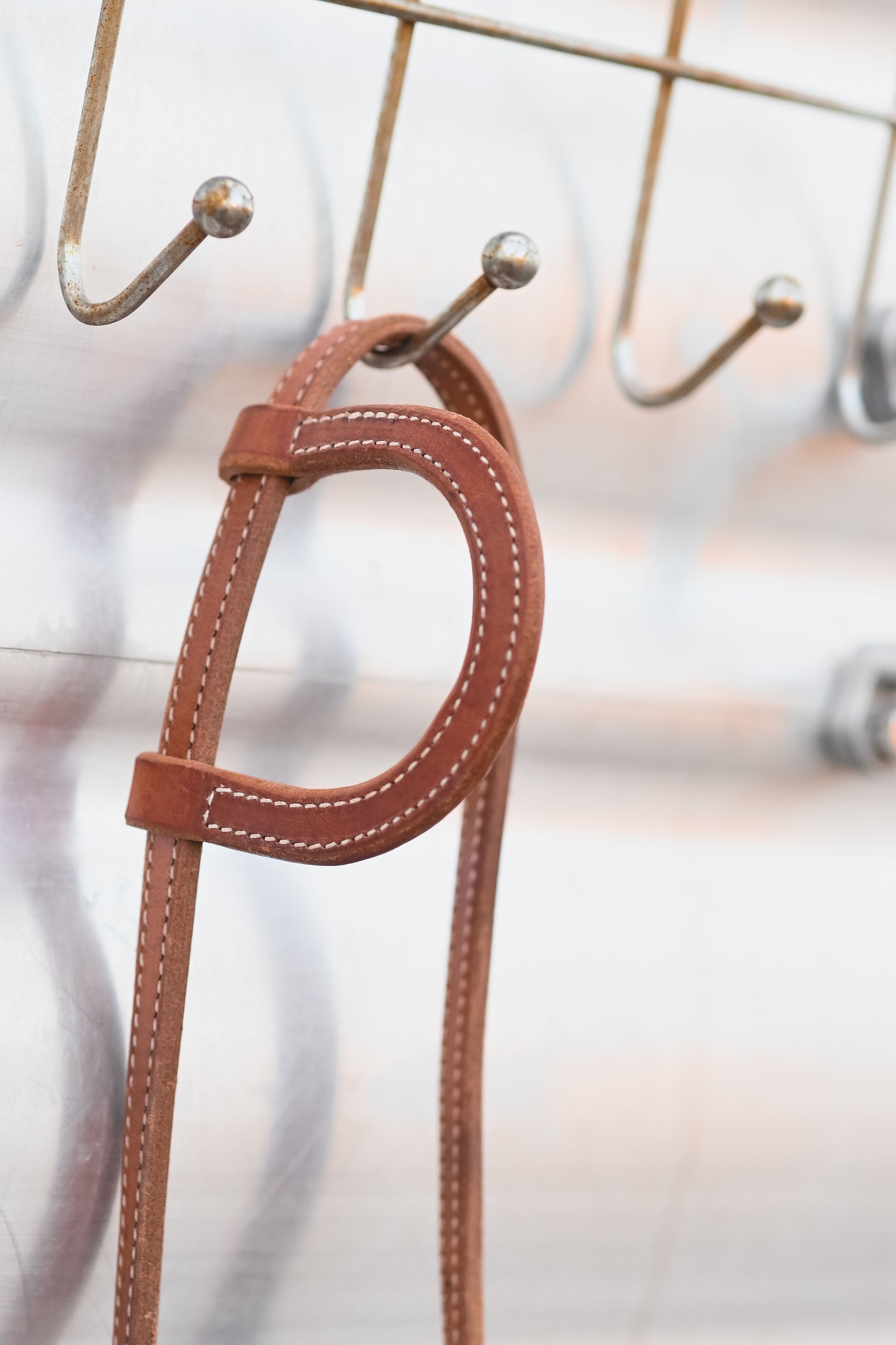 Cactus Saddlery Trevor Brazile Flat Ear Headstall