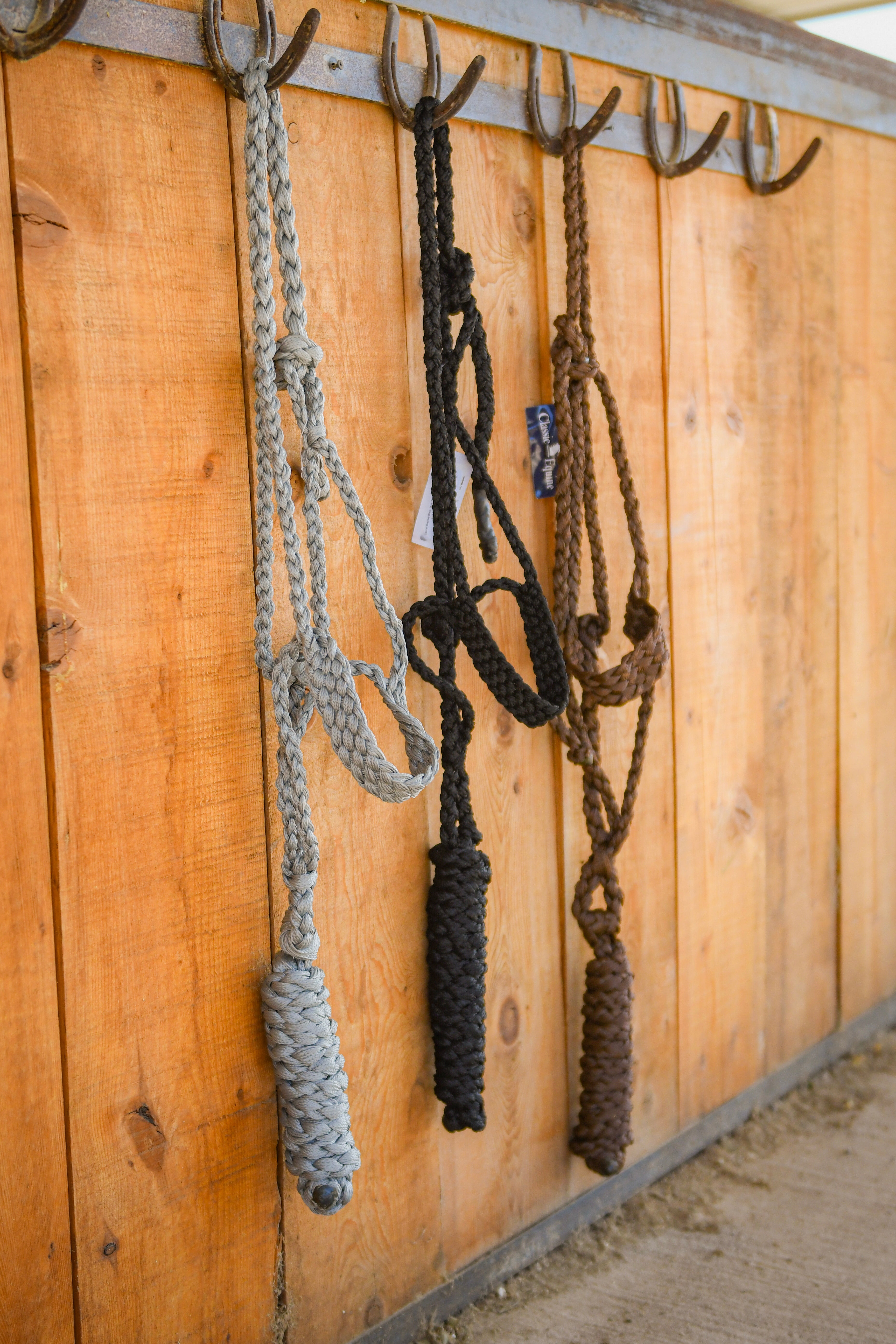 Classic Equine Colored Flat Braid Halter with Lead Rope