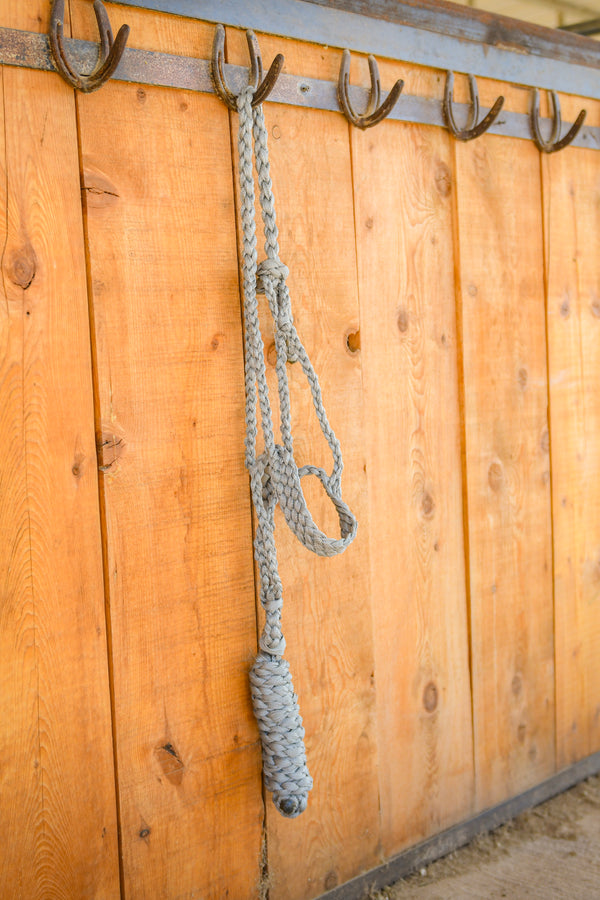 Classic Equine Colored Flat Braid Halter with Lead Rope