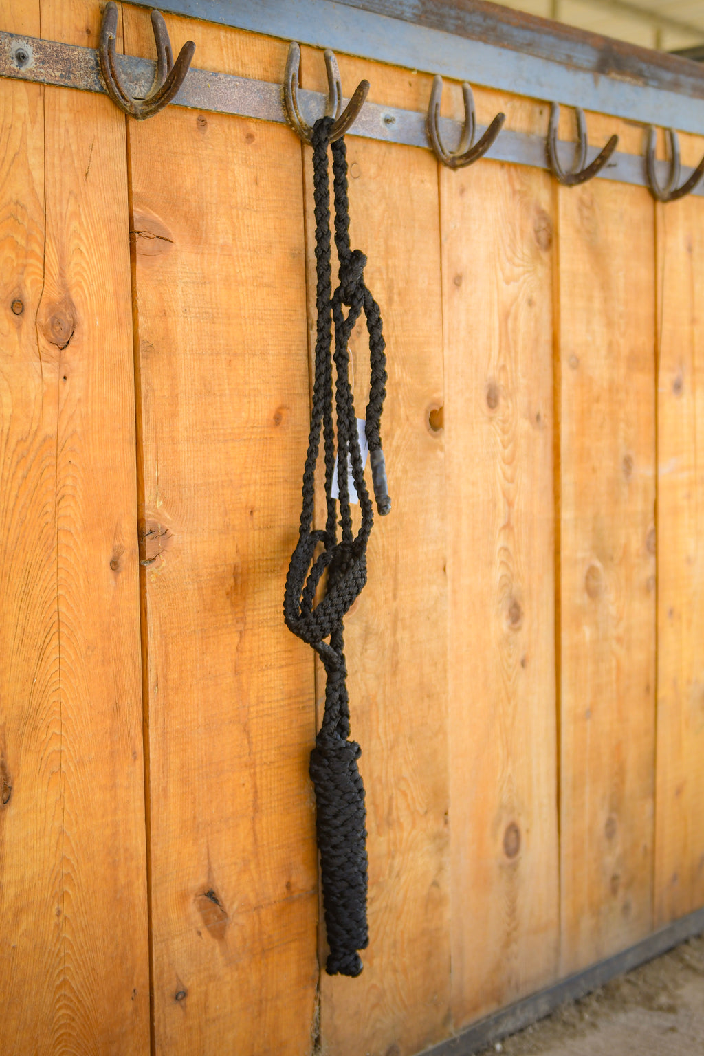 Classic Equine Colored Flat Braid Halter with Lead Rope