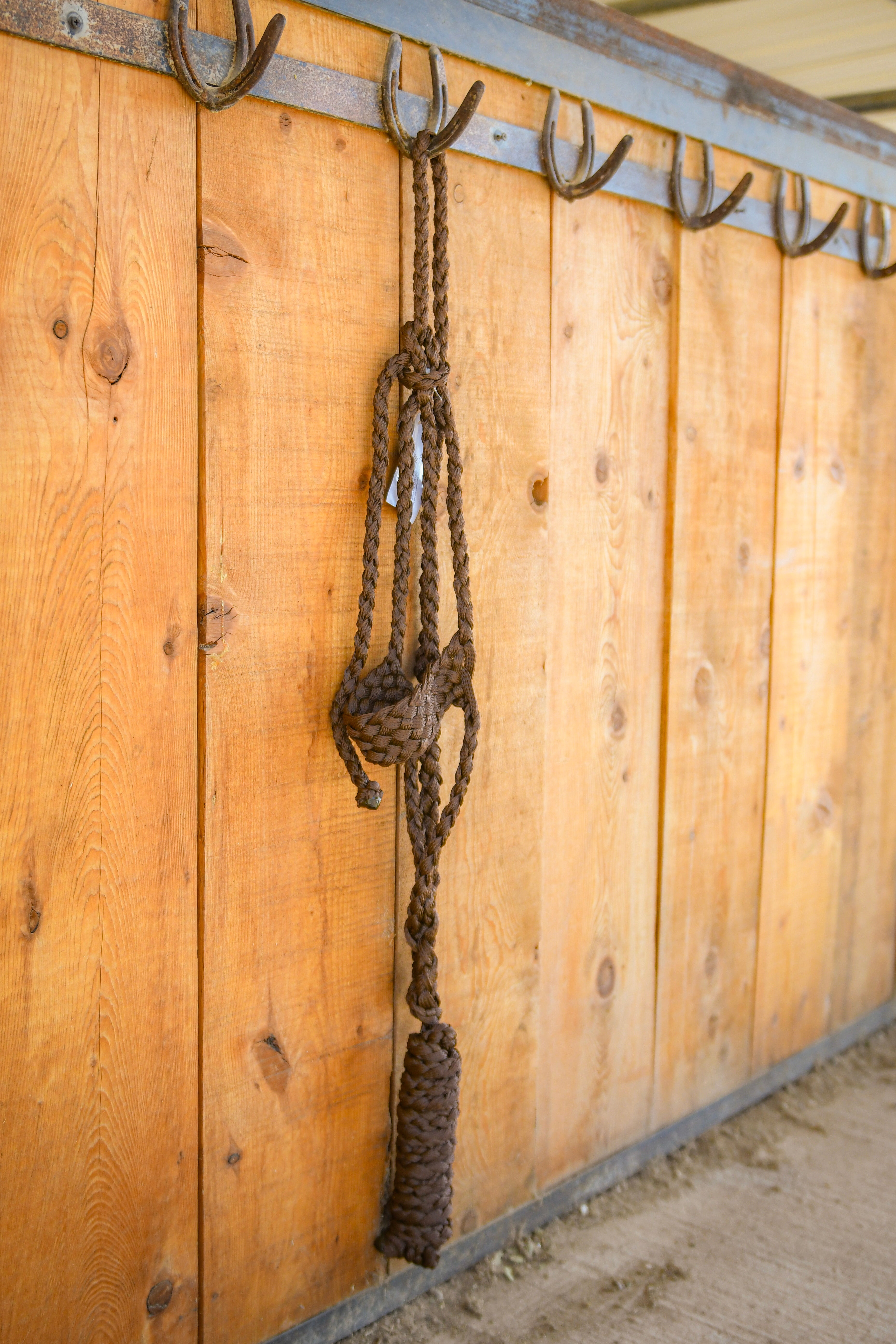 Classic Equine Colored Flat Braid Halter with Lead Rope