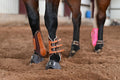 Oxbow Tack Leather Splint Boot
