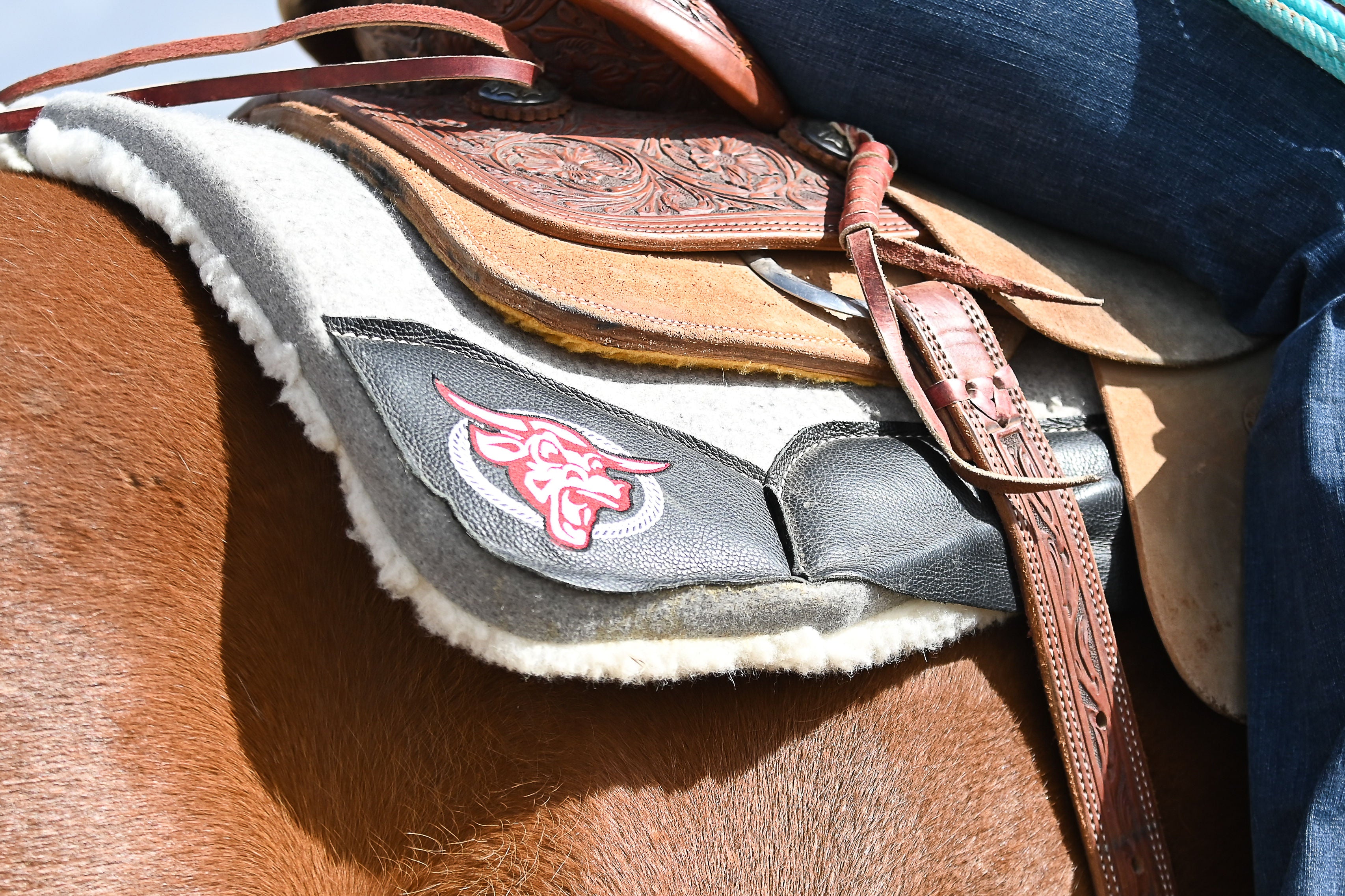 Best Ever Fleece Pad w/ Frontier Logo 32X32 1''