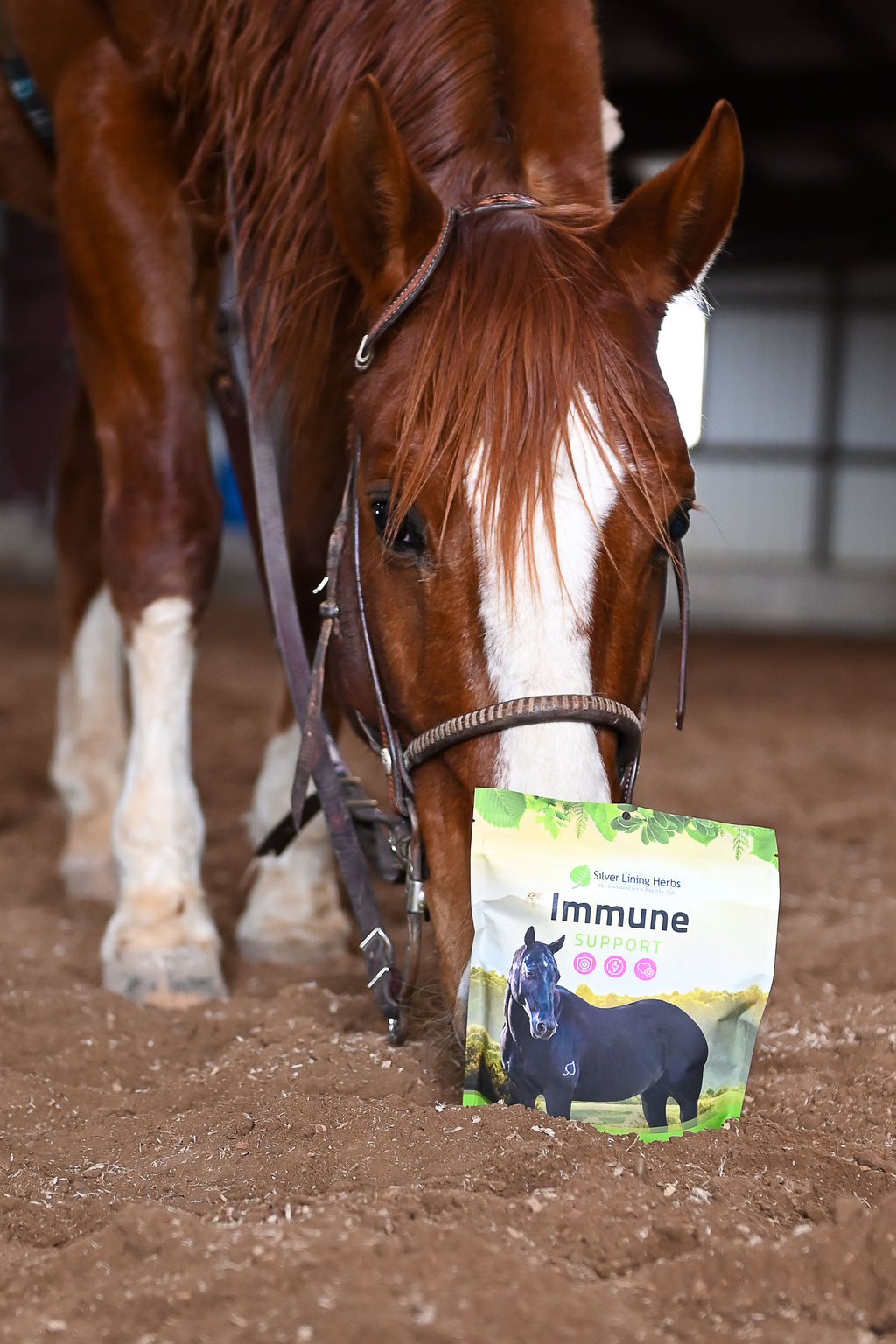 Silver Lining #24 Immune Support