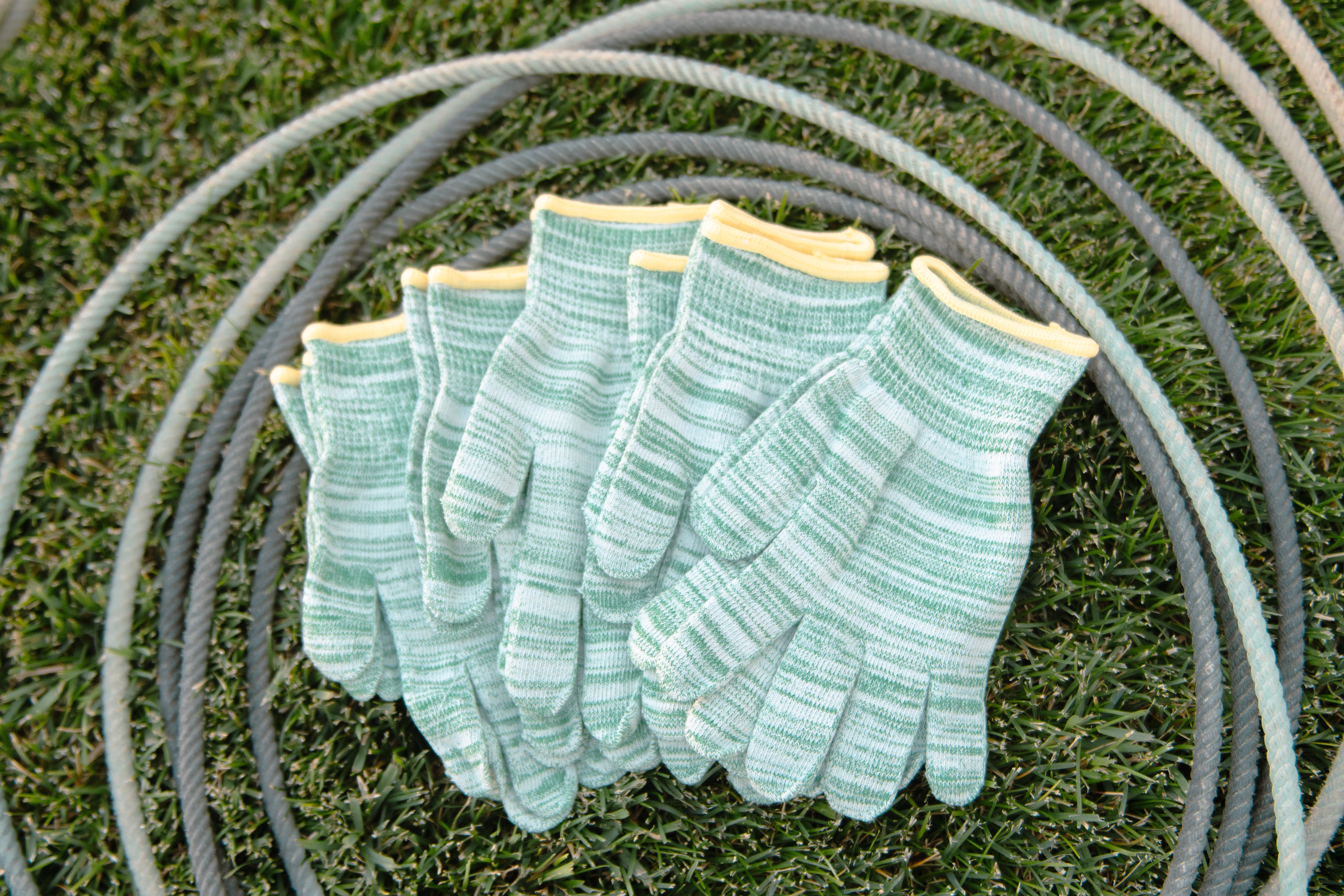 Cactus Ropes Roping Glove
