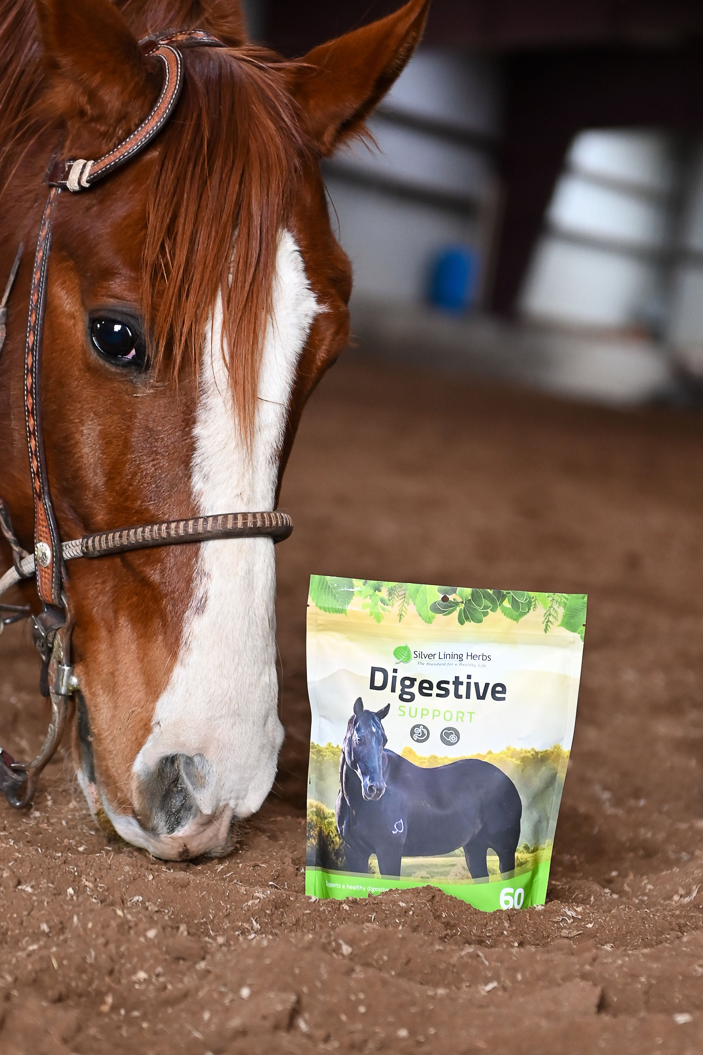 Silver Lining #30 Digestive Support