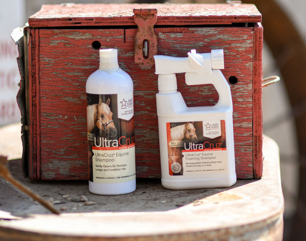 Recensioni 2026 e Voti sul Shampoo di cavallo Recensioni 2026 e Voti sul Shampoo di cavallo