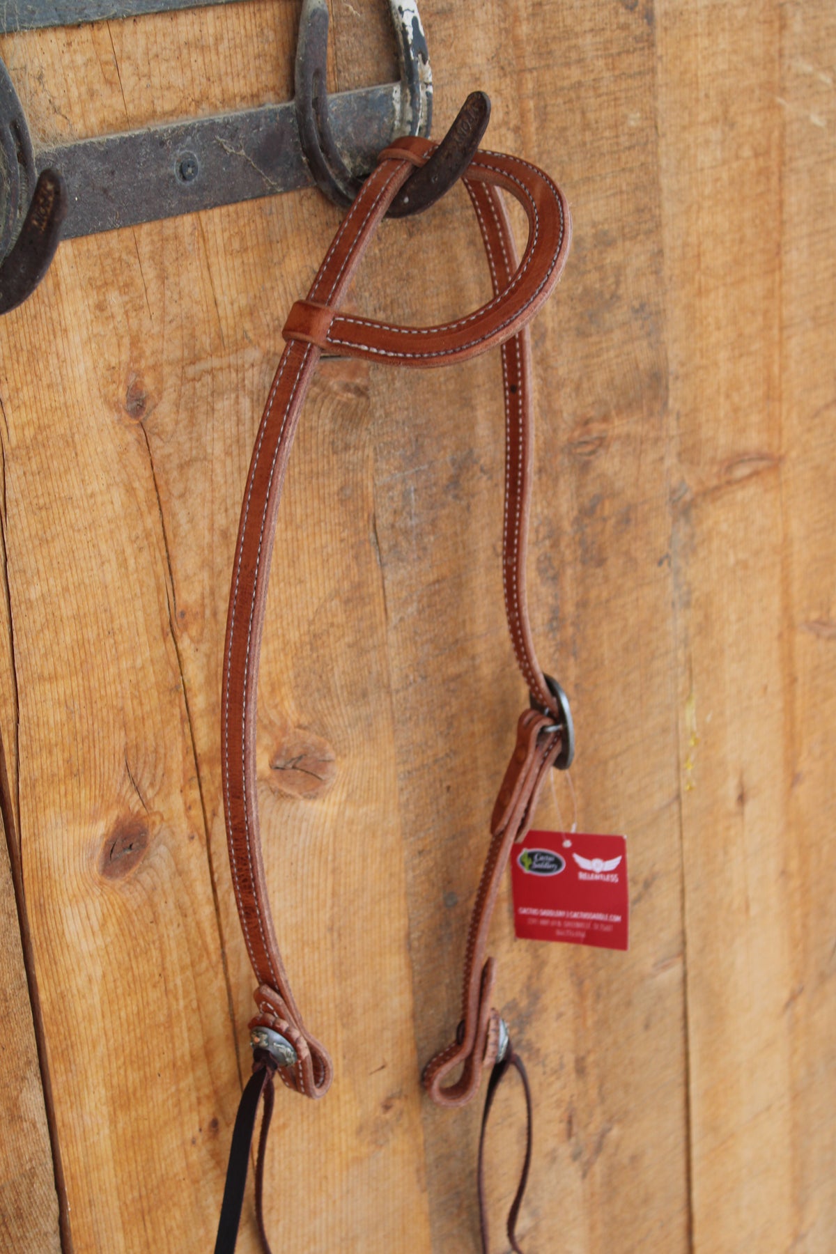 Cactus Saddlery Trevor Brazile Flat Ear Headstall
