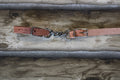 Berlin Harness Curb Single Chain