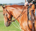 Martin String Martingale