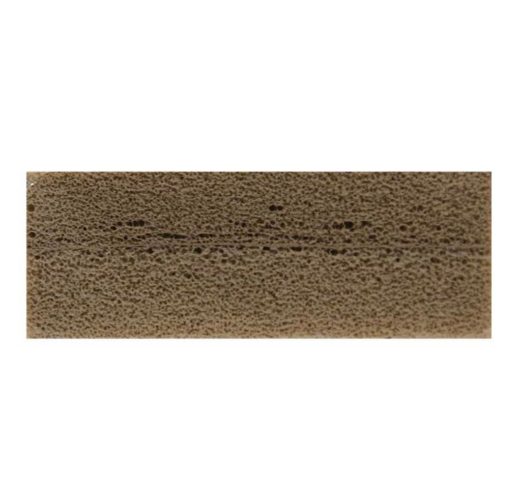 All Natural Dry Sponge