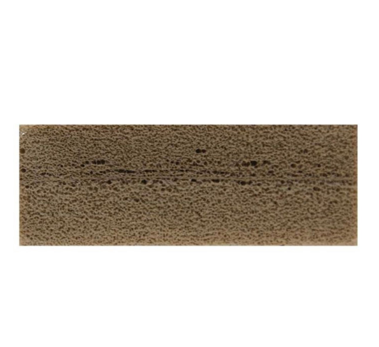 All Natural Dry Sponge