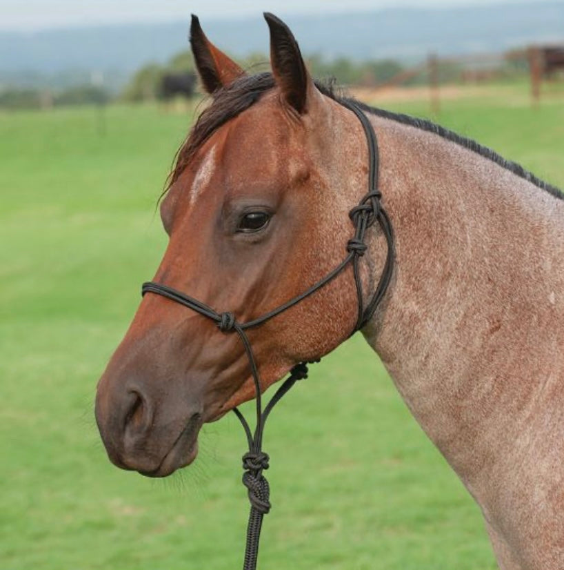 Classic Equine Premium Rope Halter Without Lead Rope