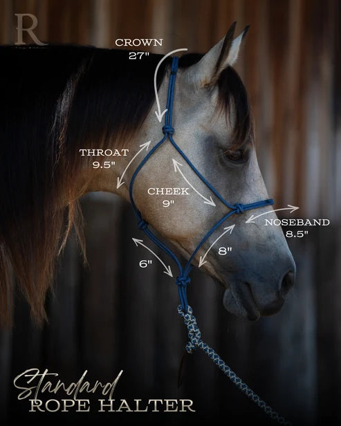 Hay Chix Timeless Halter & Lead Rope Standard (Blue)