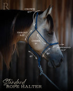 Hay Chix Timeless Halter & Lead Rope Standard (Blue)