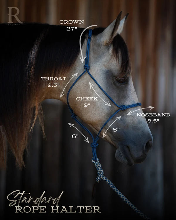 Hay Chix Timeless Halter & Lead Rope (Solid Grey)