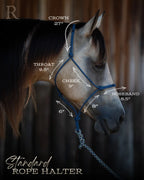 Hay Chix Timeless Halter & Lead Rope (Solid Grey)