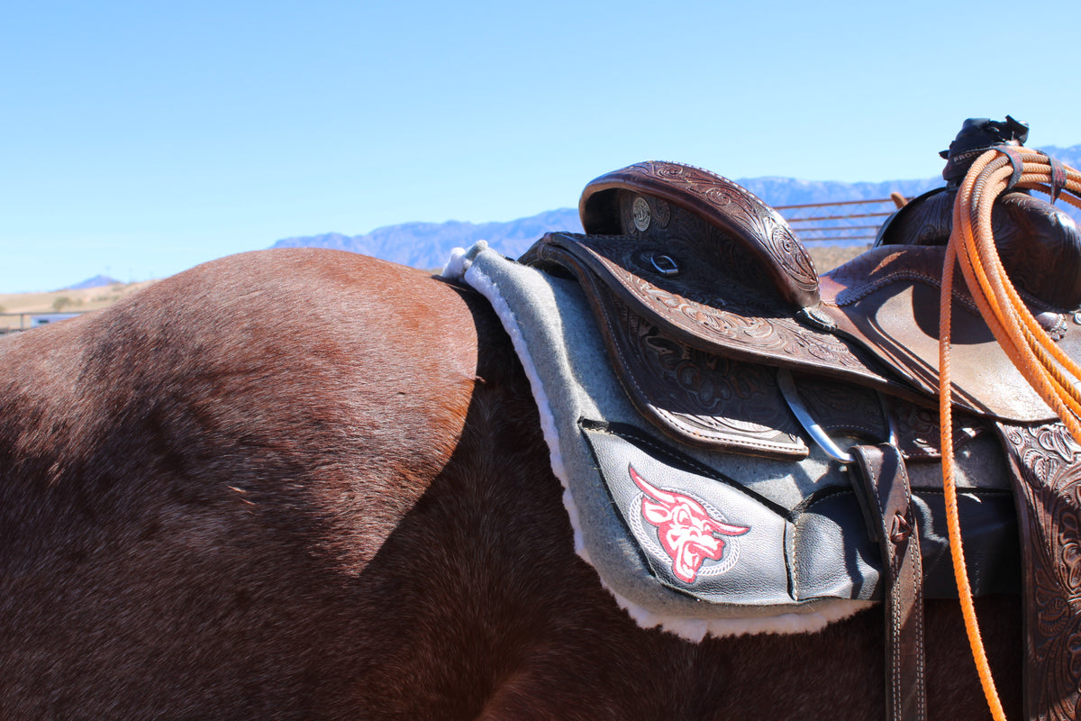 Horse Trailers & Roping Gear Utah – Frontier Trailers & Roping Supply