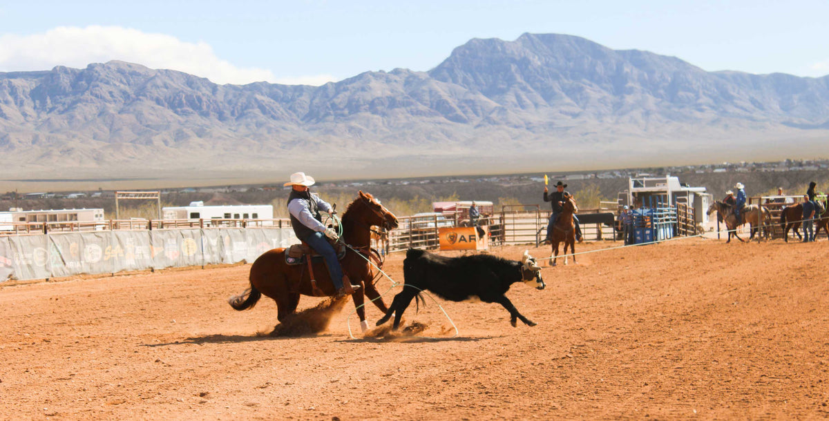 Horse Trailers & Roping Gear Utah – Frontier Trailers & Roping Supply