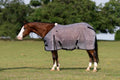 Professional Choice Fly Sheet