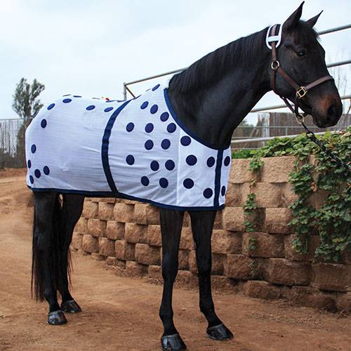 Professional Choice Magnetic Blanket