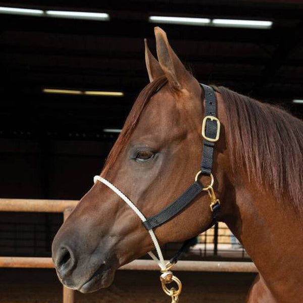 Professional Choice Rope Nose Nylon Halter