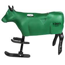 Smarty Steer