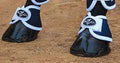 Professional Choice Magnetic Bell Boots