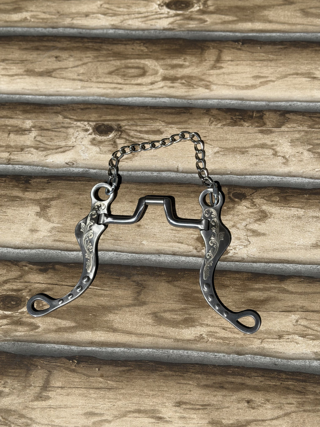 Roping Bit Graduate Shank Roping Bit with Hinge Cheek Swivel Port – Frontier ...