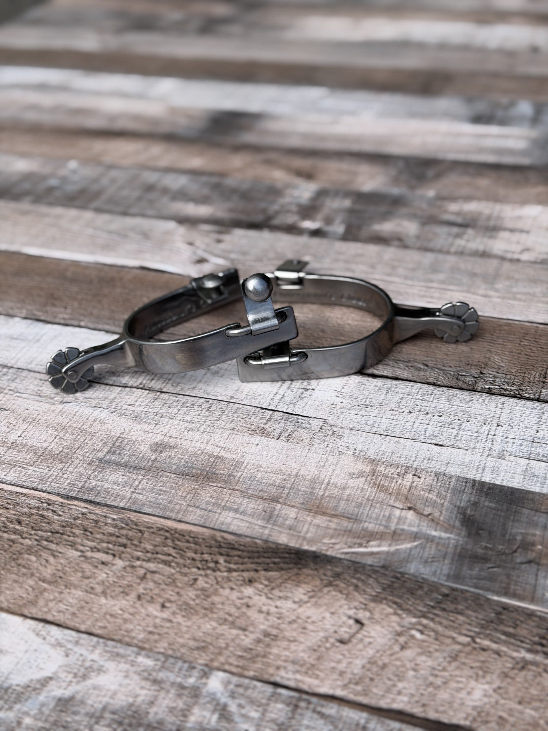 Professional Choice Cowhand 8 Pt Rowel Spur