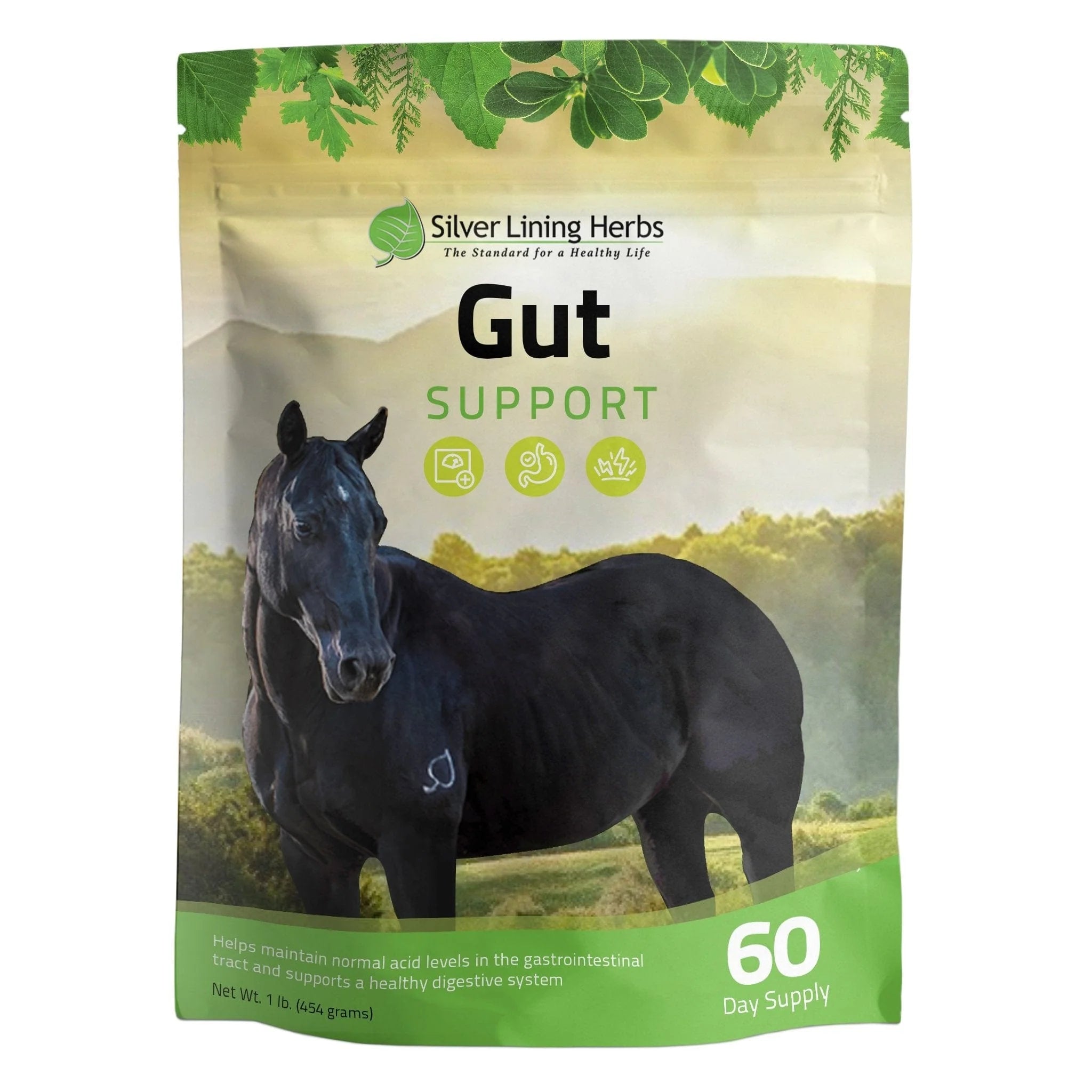 Silver Lining LCR / Gut Support