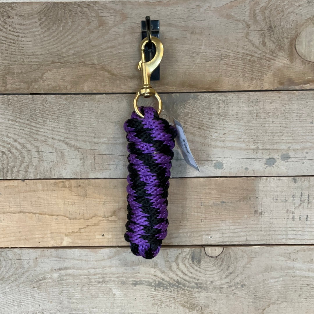 Professional Choice Poly Lead Rope 10’