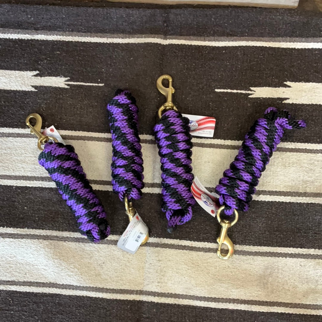 Professional Choice Poly Lead Rope 10’