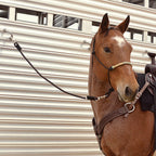 Cashel Trailer Tie
