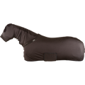 Classic Equine Slinky