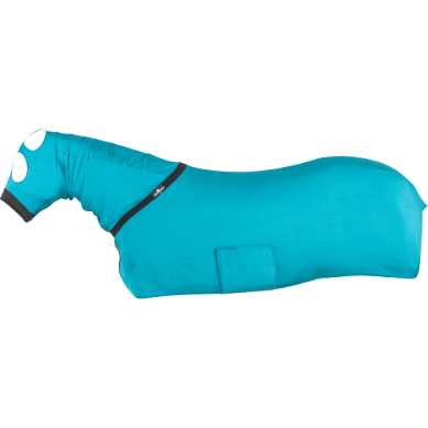 Classic Equine Slinky
