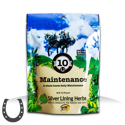 SILVER LINING #10 MAINTENANCE / TOTAL BODY