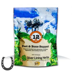 SILVER LINING HERBS FEET AND BONE SUPPORT #12