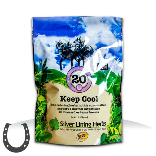 Silver Lining #20 Keep Cool