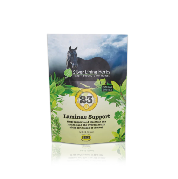 Silver Lining #23 Laminae Support