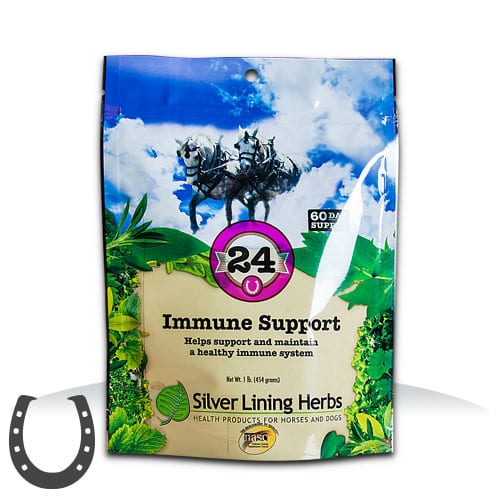 SILVER LINING HERBS #24 IMMUNE SUPPORT