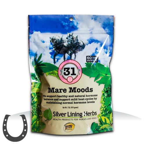 Silver Lining #31 Mare Moods