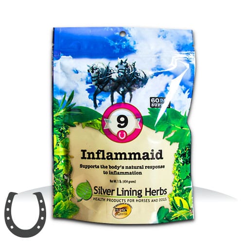 Silver Lining #9 Infla-Aid