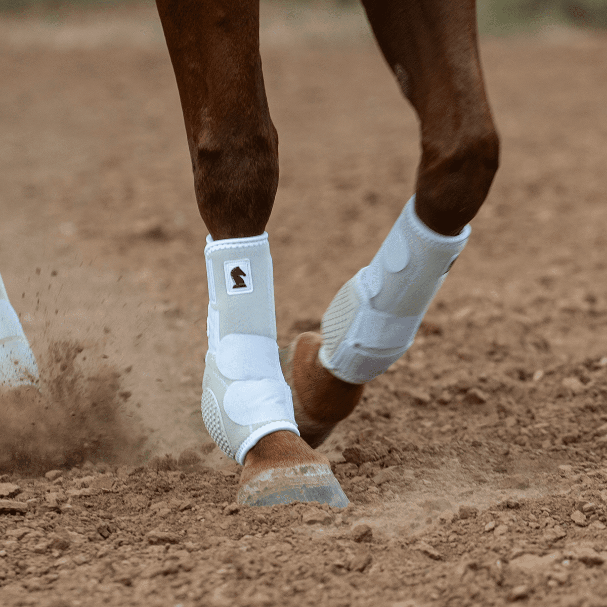 Classic Equine Flexion Front Boot