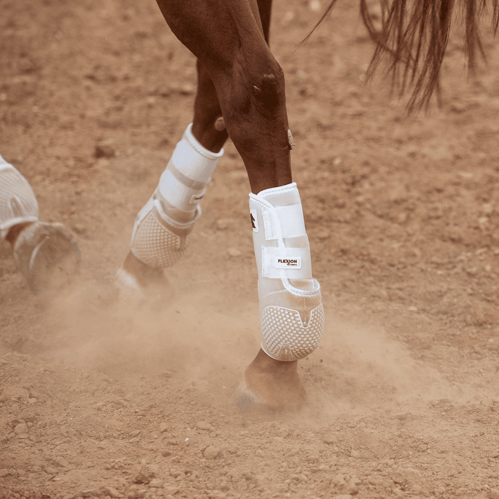 Classic Equine Flexion Hind Boot