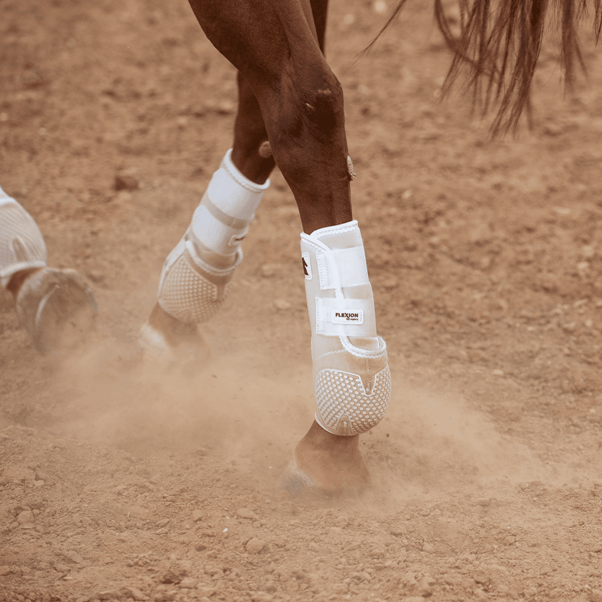 Classic Equine Flexion Hind Boot