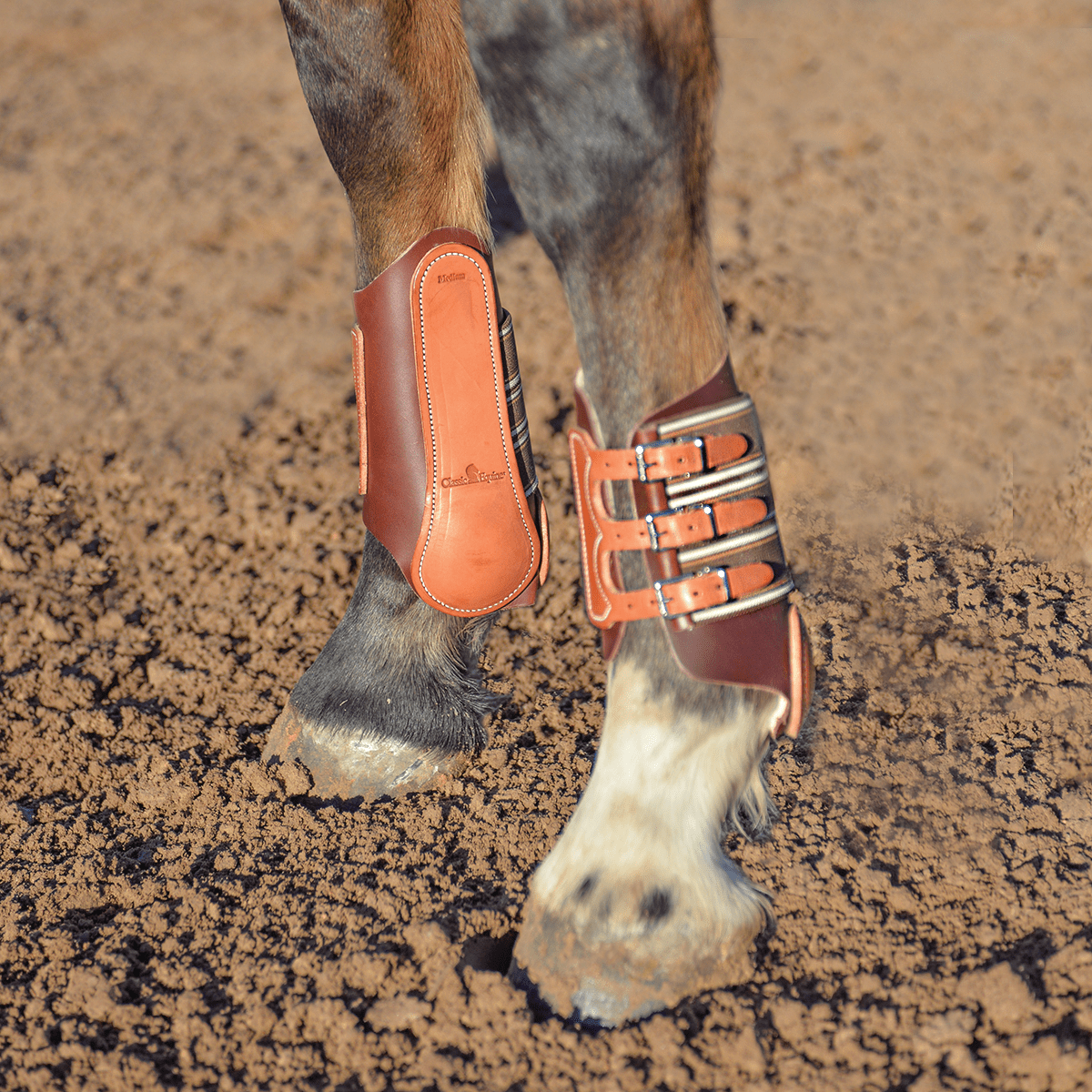 Classic Equine Leather Splint Boots