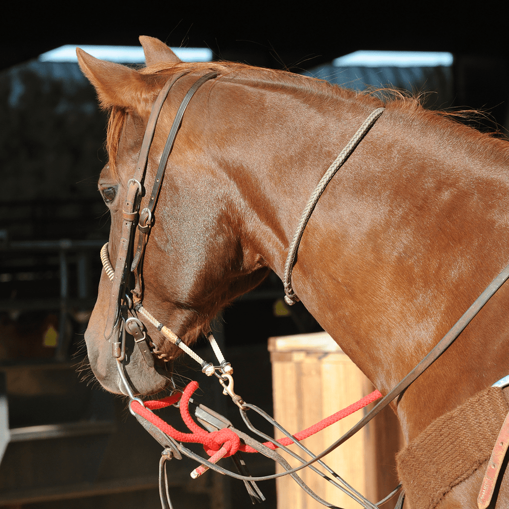 Classic Square Neck Rope